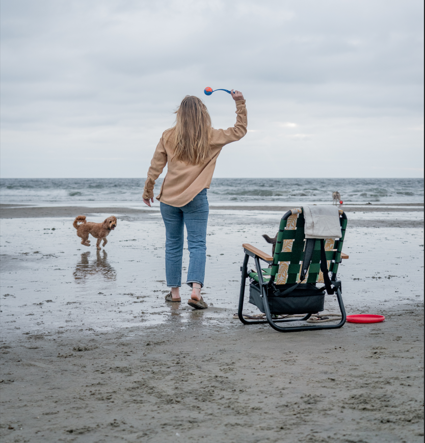 del mar dog beach 