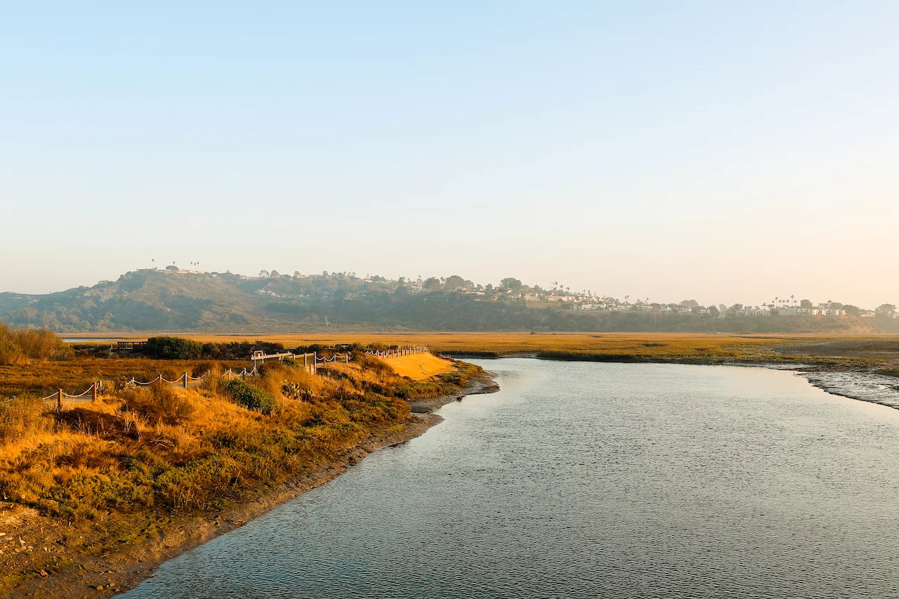 17_PNG_Photo_Credit-_Nature_Conservancy.webp
