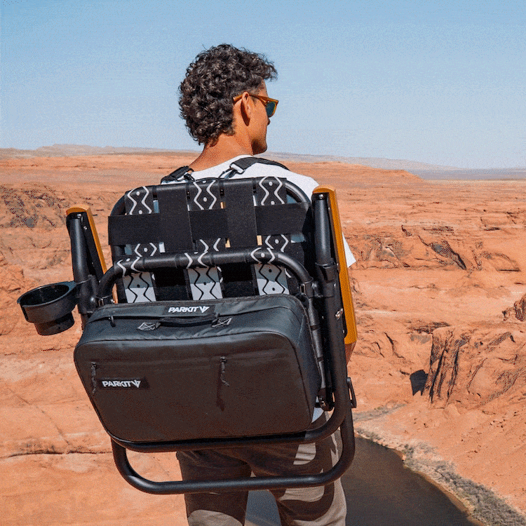 Homepage_OriginalStyles_V_Compressed.gif